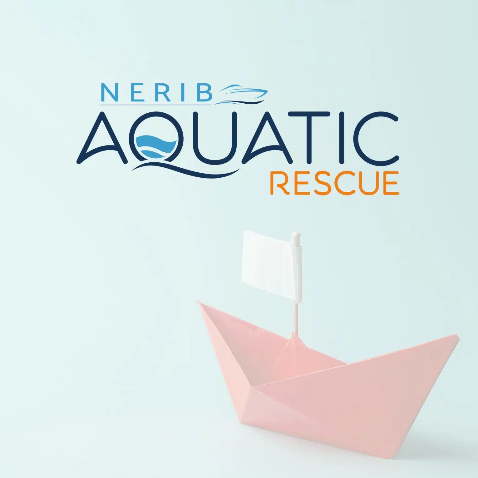 Projet Aquatic Rescue