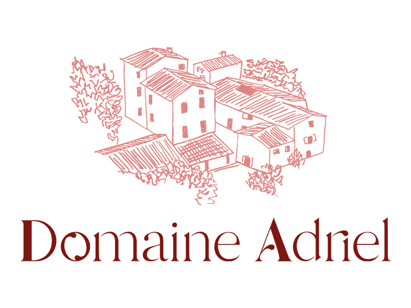 Projet Domaine Adriel